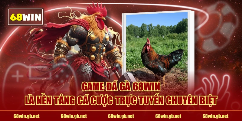 Game đá gà 68WIN là nền tảng cá cược trực tuyến chuyên biệt